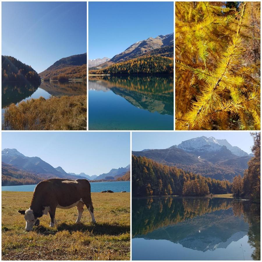Chesa Madrisa Lägenhet St. Moritz Exteriör bild